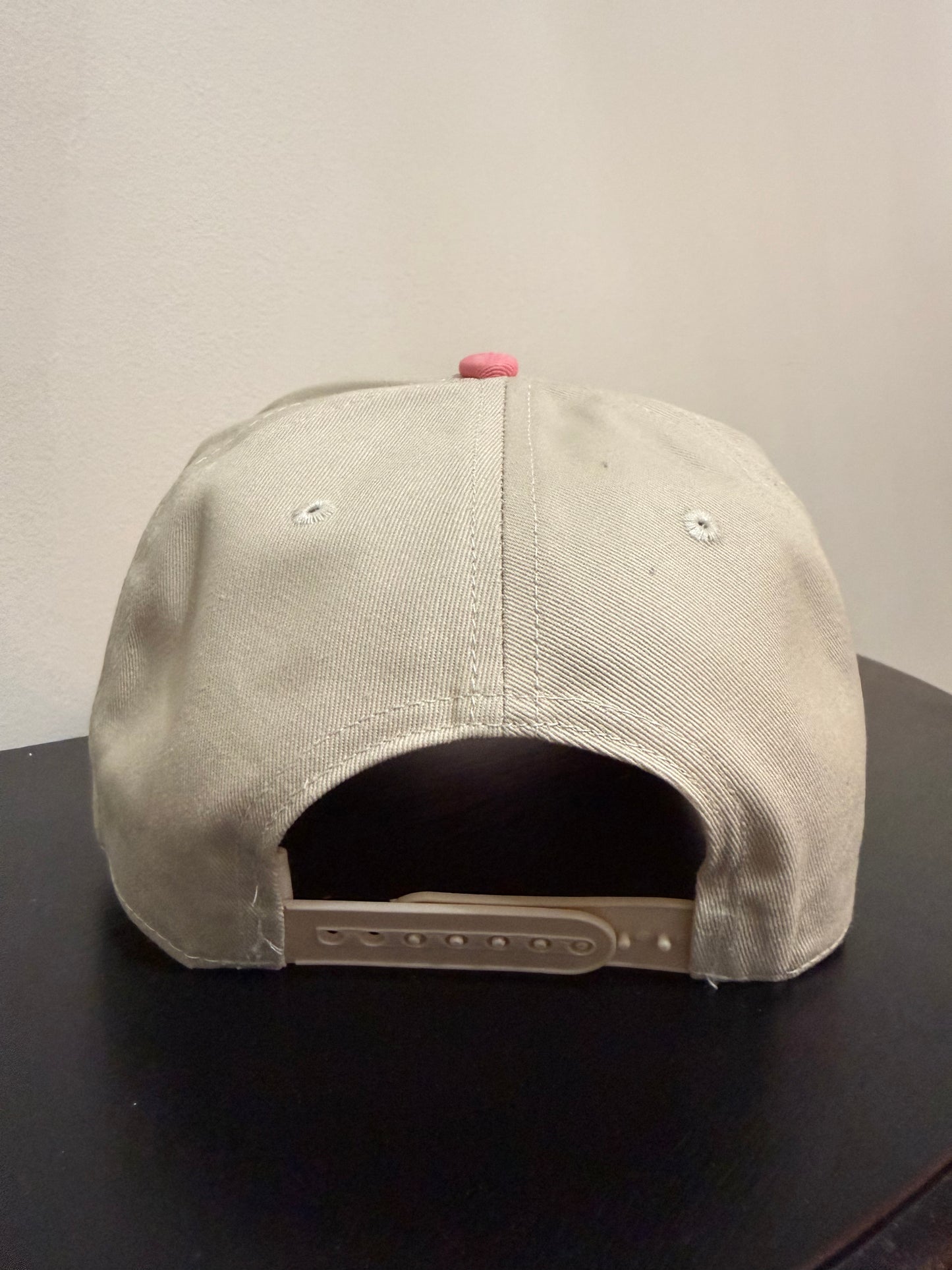 Hold My Drink, I Gotta Pet This Dog Two-Toned Embroidered Hat